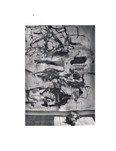 Joan Mitchell et ses chiens